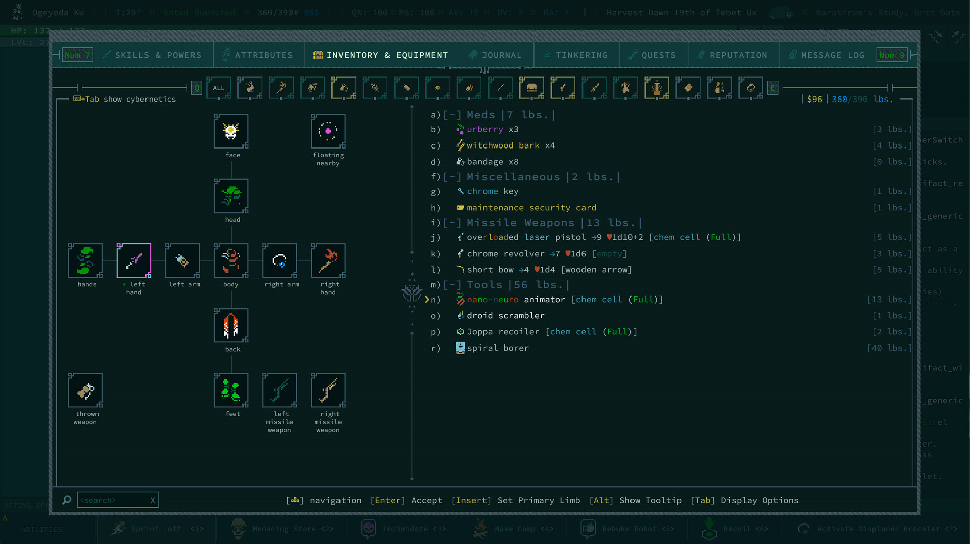 卡德洞窟/Caves of Qud-2